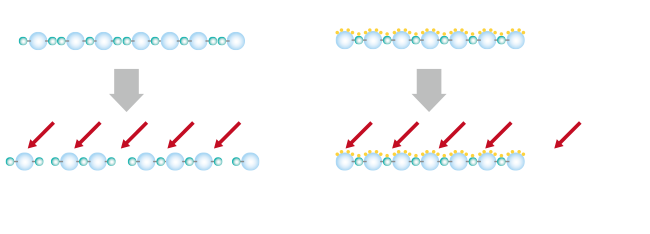 一般的なフッ素樹脂 完全交互結合型フッ素樹脂