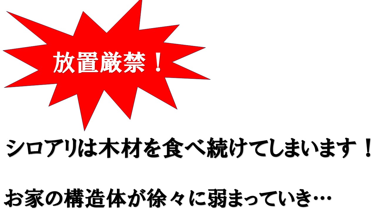 雨漏り　放置厳禁