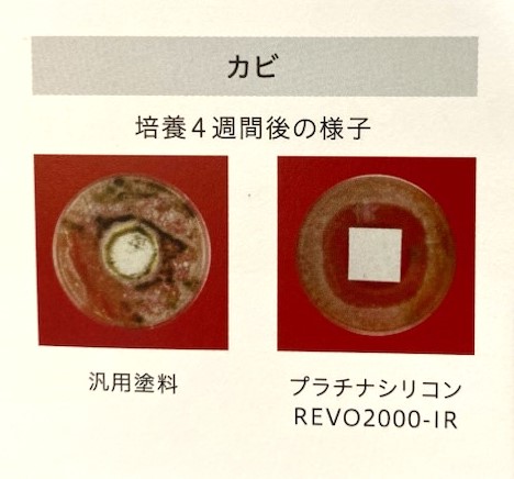 かび抵抗性試験方法