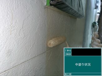 外壁塗装 東大阪 中塗り施工