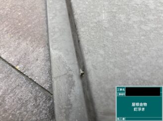 外壁塗装 八尾 屋根釘浮き