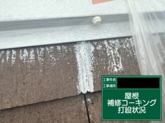 屋根補修 大阪 釘頭コーキング