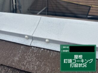 屋根補修 大阪市 釘頭コーキング