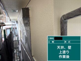 東大阪　外壁塗装　上塗り施工後