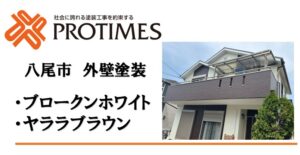 ﾌﾞﾛｰｸﾝﾎﾜｲﾄ・ﾔﾗﾗﾌﾞﾗｳﾝ