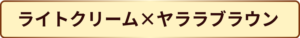 ライトクリーム×ヤララブラウン　外壁