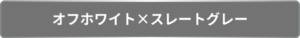 オフホワイト×スレートグレー　外壁