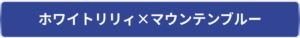 ホワイトリリィ×マウンテンブルー　外壁